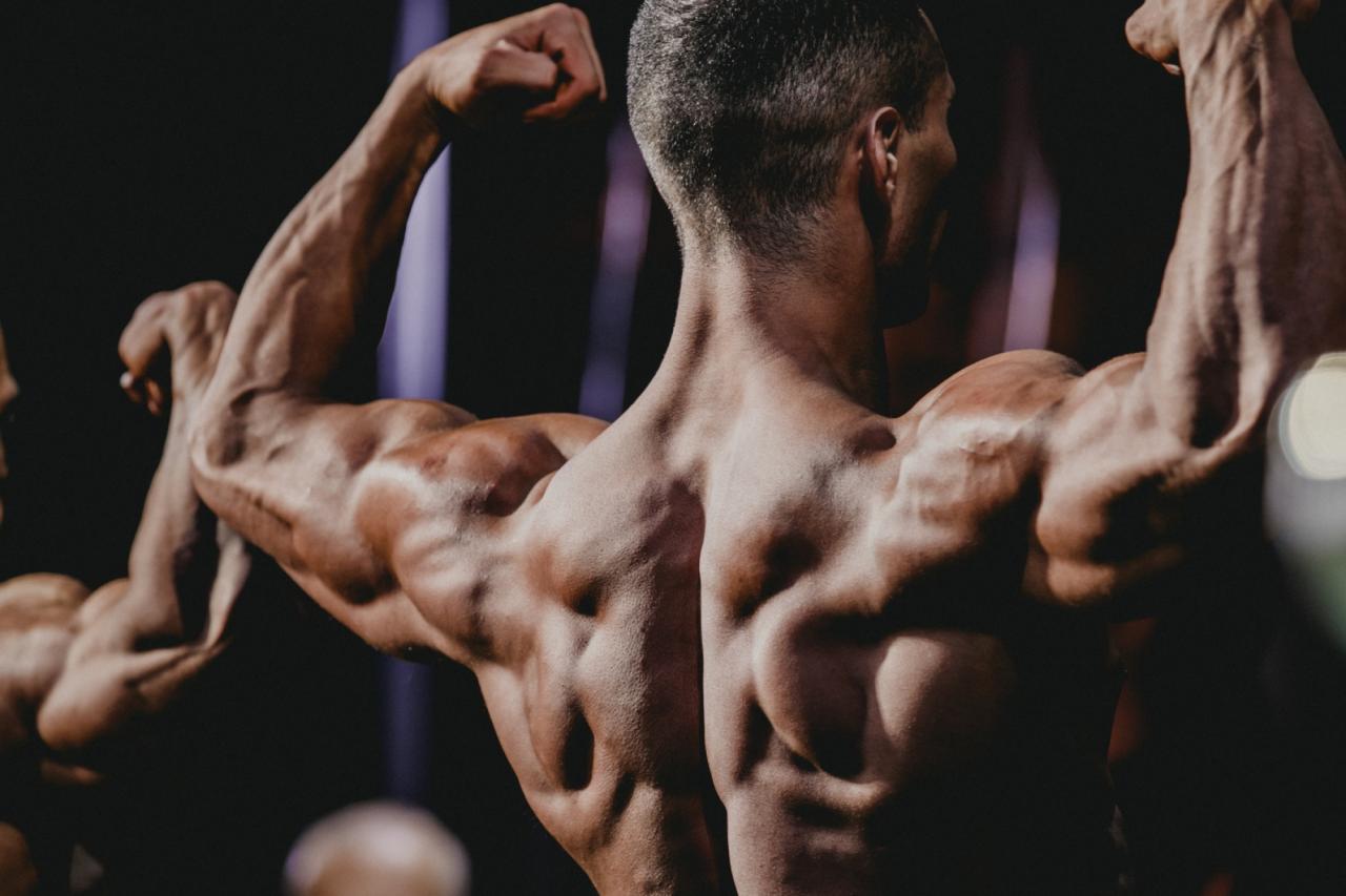 Beginning Your Bodybuilding Journey - The Absolute Basics - Bodybuilding Nation